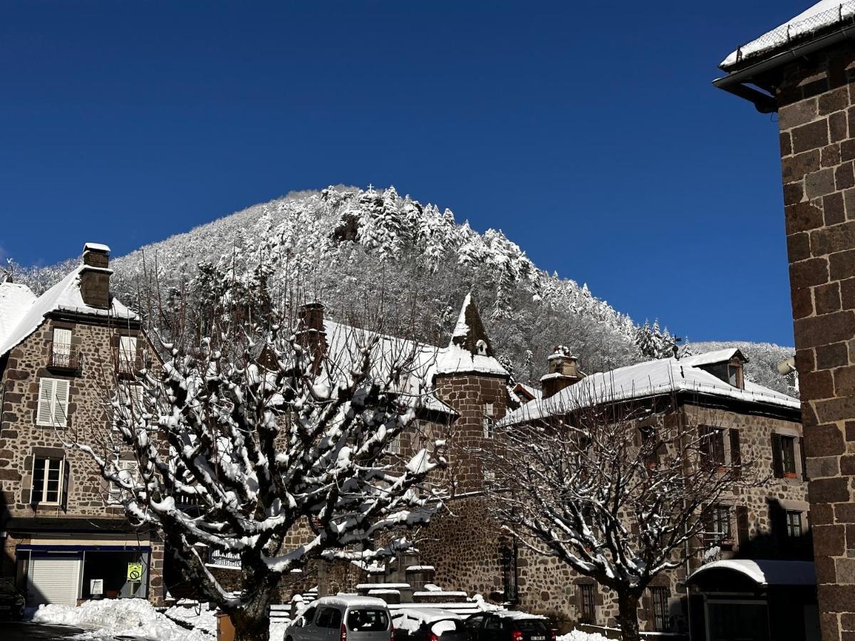 Belle Maison De Ville Au Coeur Du Village De Montagne Vic-sur-Cère Buitenkant foto