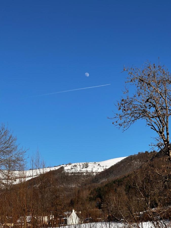 Belle Maison De Ville Au Coeur Du Village De Montagne Vic-sur-Cère Buitenkant foto