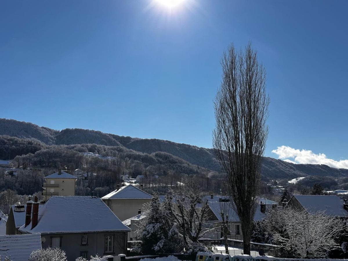 Belle Maison De Ville Au Coeur Du Village De Montagne Vic-sur-Cère Buitenkant foto